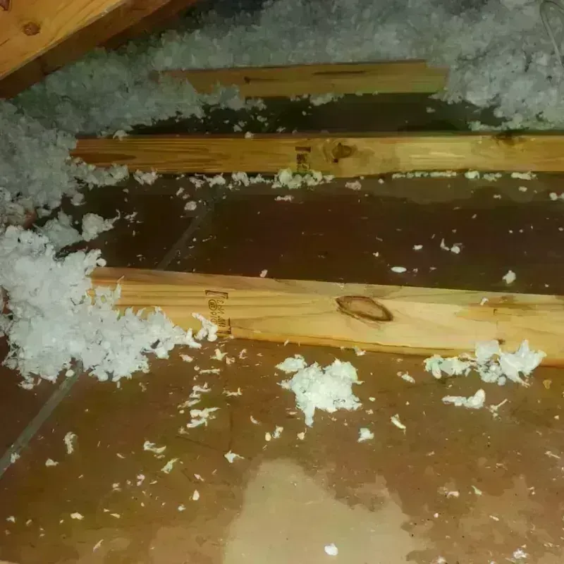 Attic Water Damage in Southlake, TX