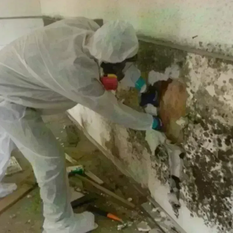 Mold Remediation and Removal in Southlake, TX