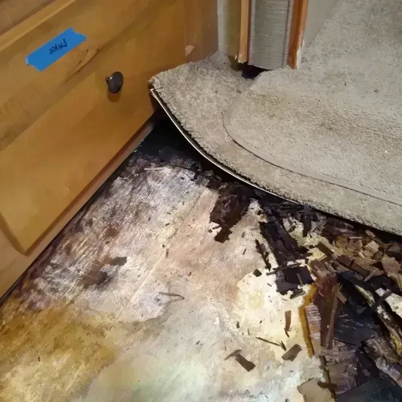 Best Wood Floor Water Damage Service in Southlake, TX